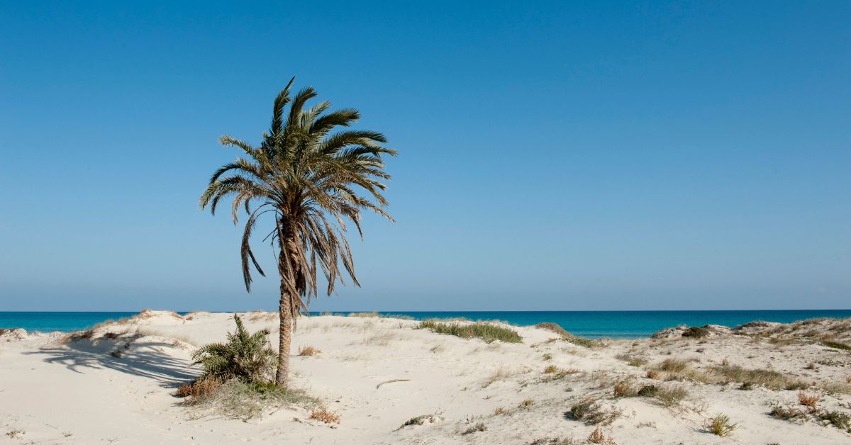 Prečo navštíviť Tunisko?