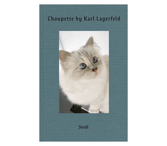 Život mačky Karla Lagerfelda v knihe