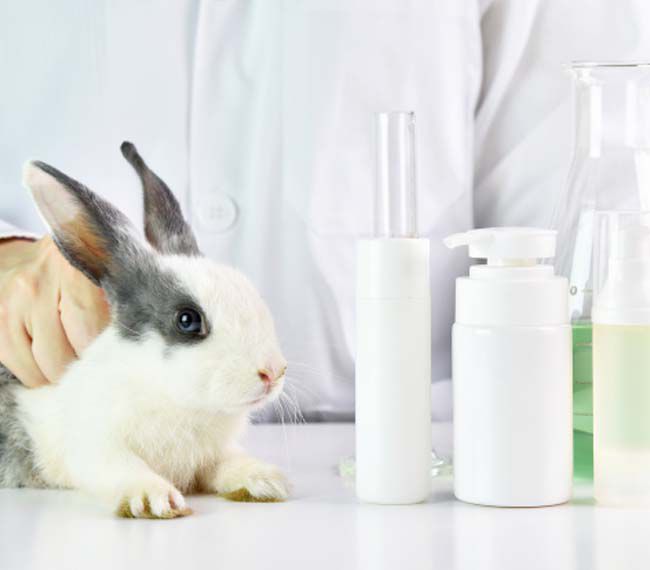 Kalifornia zakázala predaj kozmetiky testovanej na zvieratách