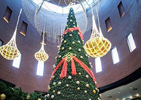 Nejvyšší vánoční stromek a výjimečná péče v Centru Chodov